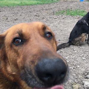 Meet your Posher, Diane